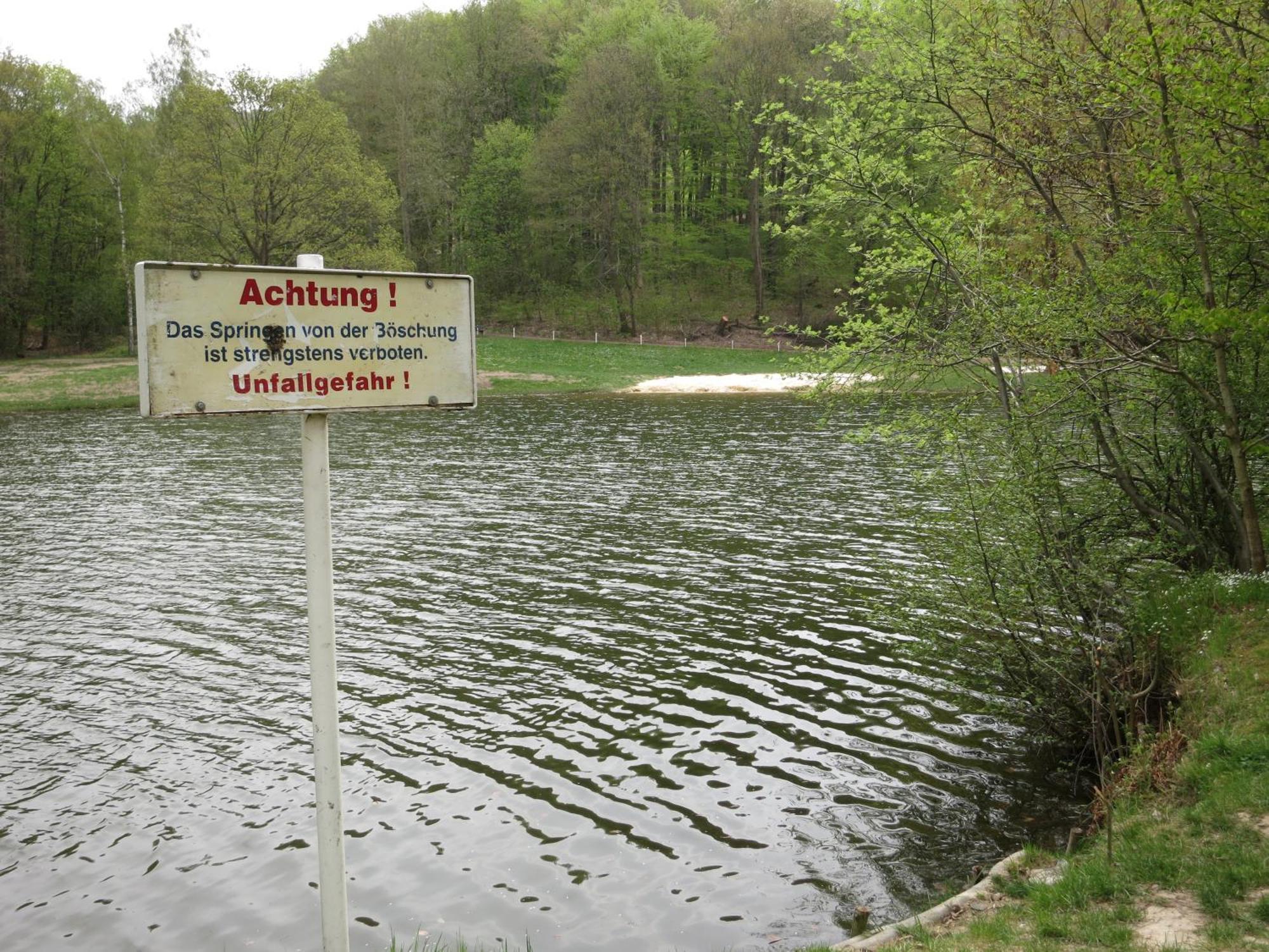 Bungalow Am Osterteich Gernrode  Εξωτερικό φωτογραφία